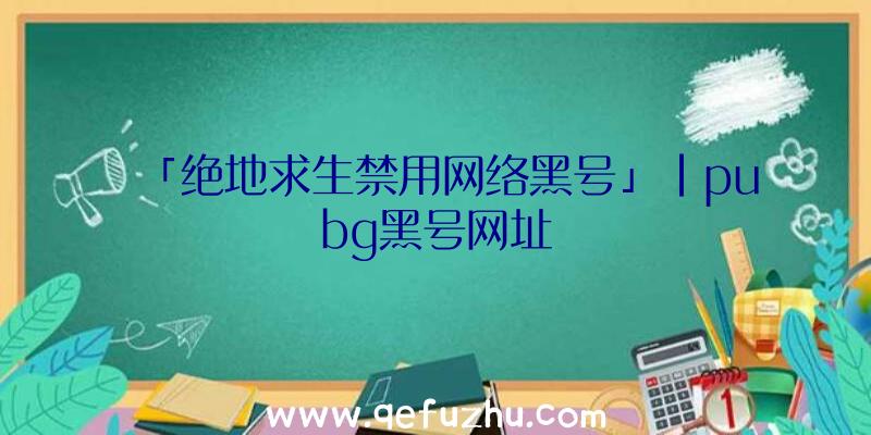 「绝地求生禁用网络黑号」|pubg黑号网址